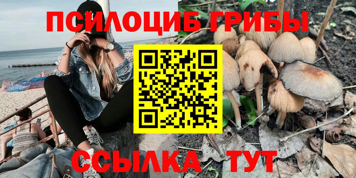Галлюциногенные грибы GOLDEN TEACHER Добрянка