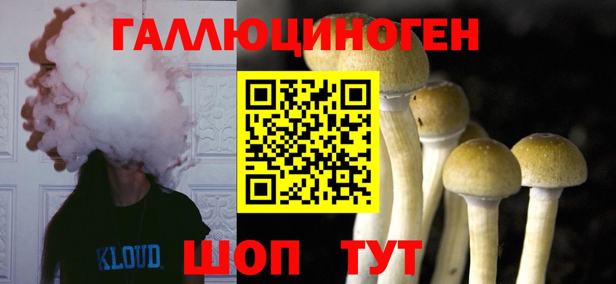 Добрянка  цены   Вход с VPN  Галлюциногенные грибы ЛСД  Галлюциногенные грибы MAGIC MUSHROOMS 